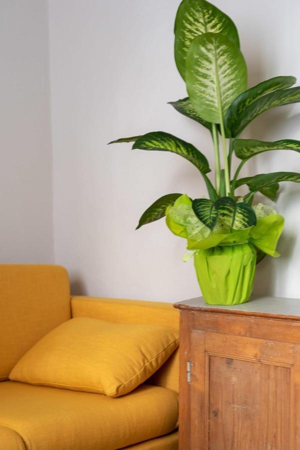 San Zanobi Family Suite In Firenze Eksteriør bilde